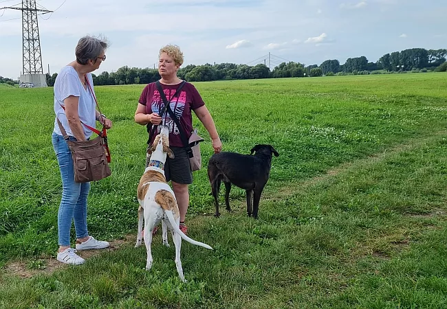 Hundehalterinnen im Gespräch