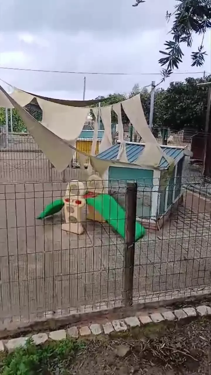 zerfetztes Sonnensegel über einer Hundehütte