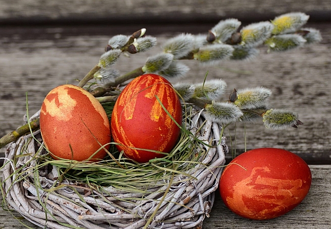 Ostereier im Nest