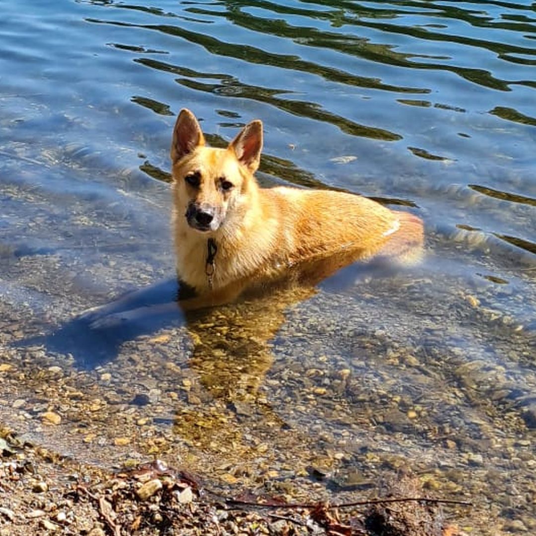 Volanta im Wasser