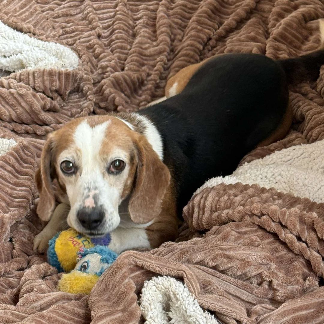 Odin spielt auf dem Bett