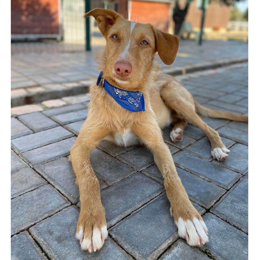 Rio im Auslauf liegt im Schatten