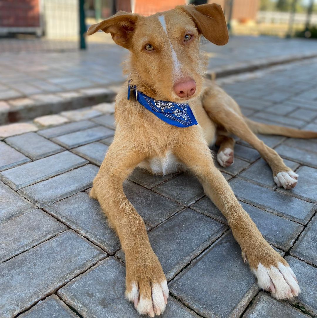 Rio im Auslauf liegt im Schatten