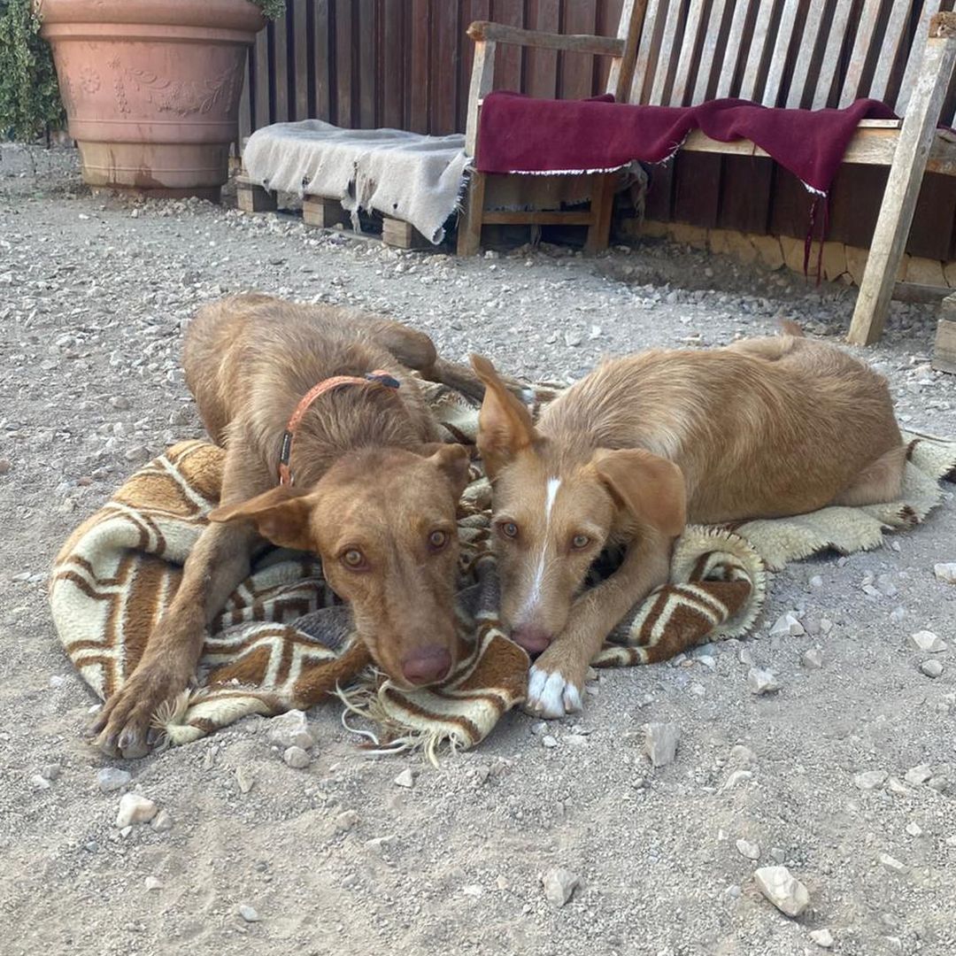 Rio liegt entspannt auf Liegeplatz