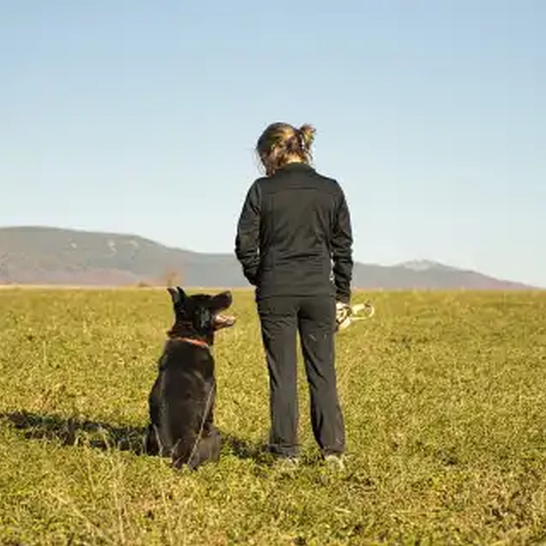 Sombra, schwarzer Mischlingsrüde, von hinten, links neben einer Person sitzend, Kopf und Blick nach rechts oben zu der Person