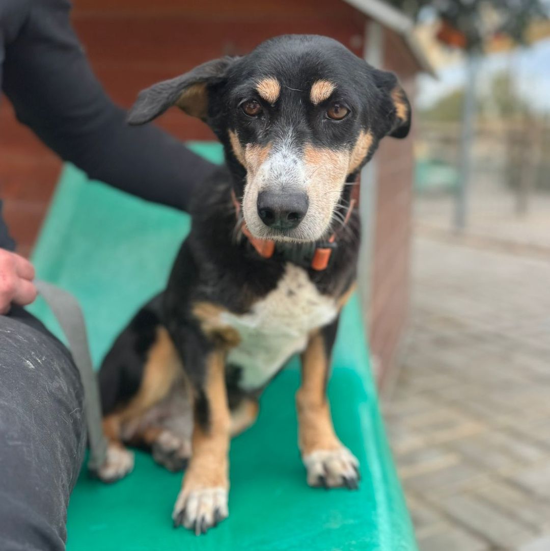 Luisa sitzt auf Stuhl