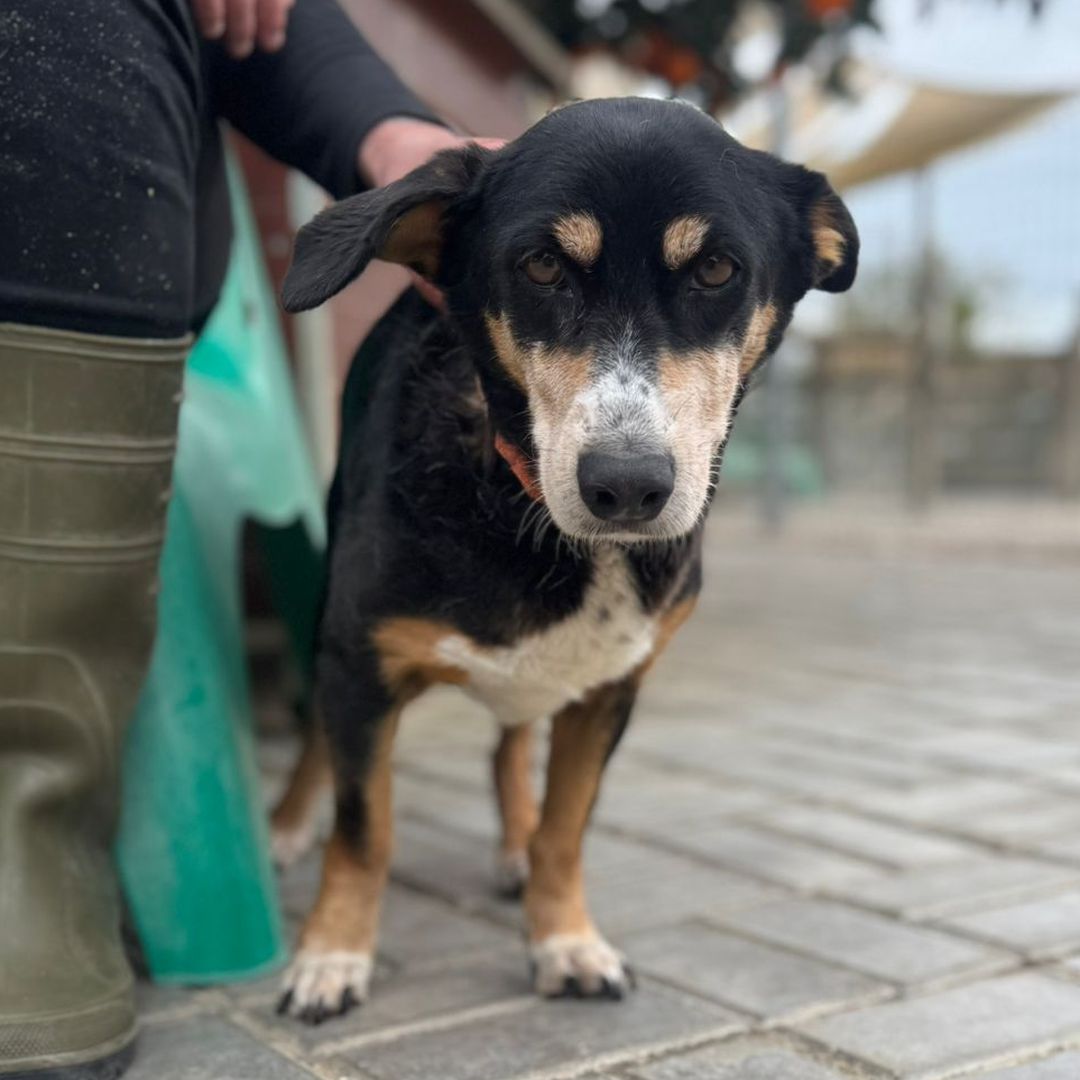 Luisa steht neben Pflegerin