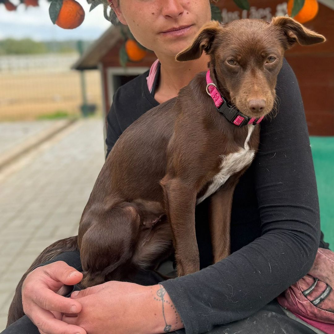 Lila sitzt auf Schoß