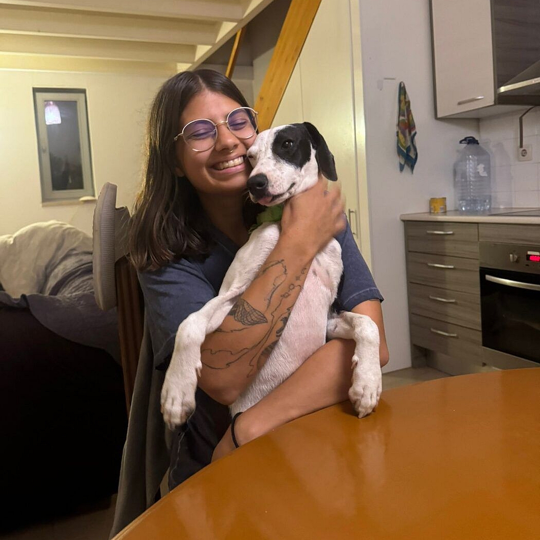 Schwarz-weißer Rüde, auf dem Arm einer Person, von vorn, Blick leicht nach rechts