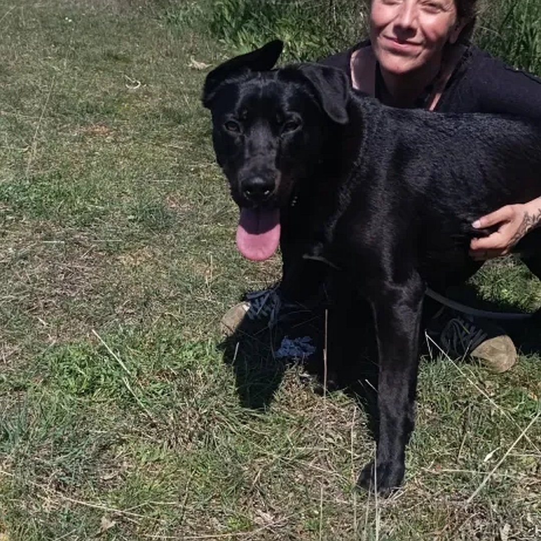 Schwarzer Rüde, stehend, linke Seite, Blick nach links in Kamera, wird von Person umarmt