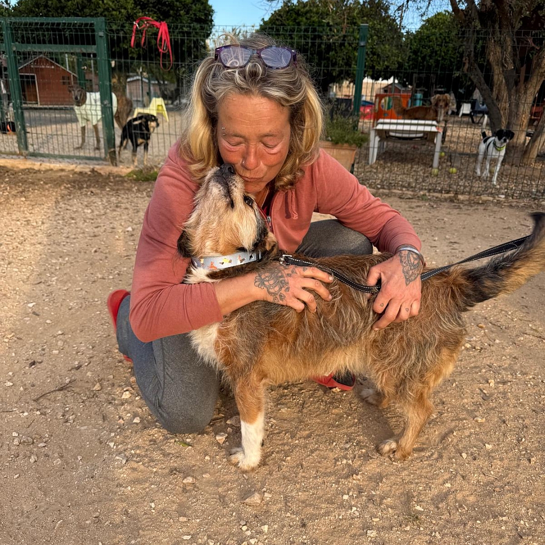 Braun-beiger Rüde, stehend, linke Seite, wird von Person umarmt, Kopf und Blick nach oben zu der Person
