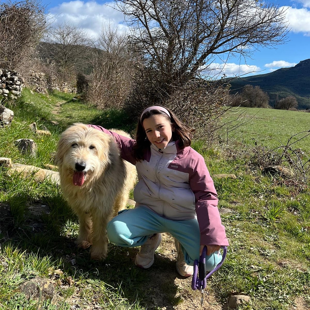 Hellbeiger Rüde, rechts neben einem Kind sitzend, von vorn, Kopf und Blick in Kamera