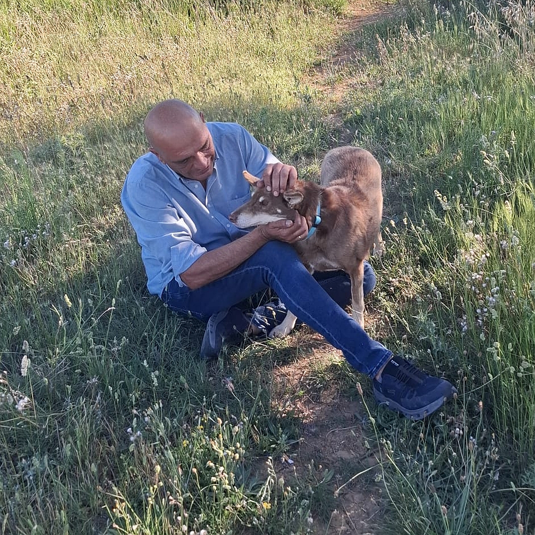 Brauner Rüde, beige Pfoten, stehend, von vorn, kuschelt mit einer Person