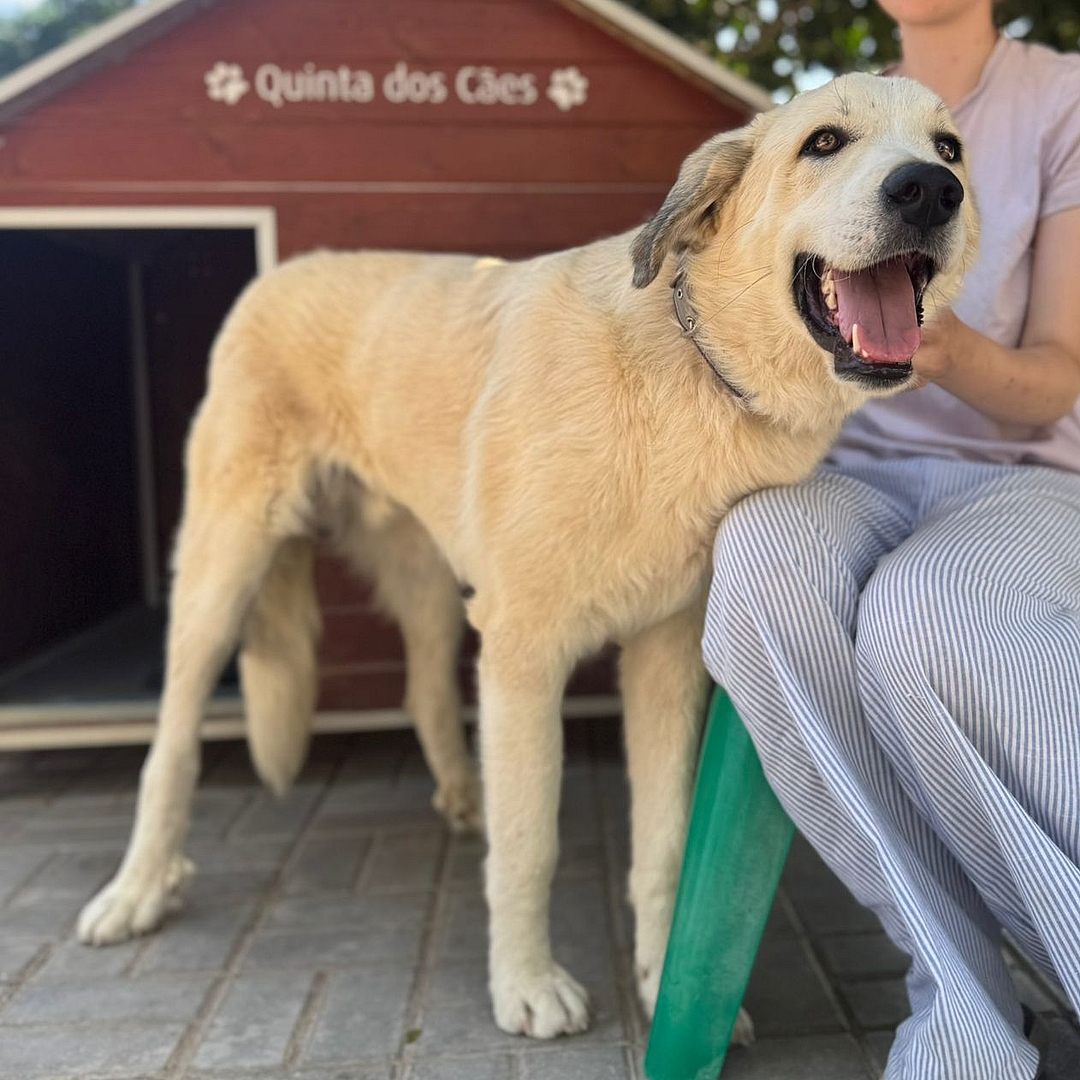Nico steht neben Tierpflegerin