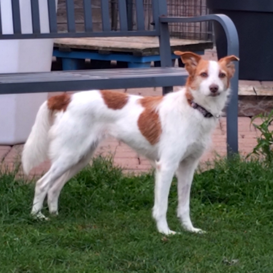 Bina steht seitlich vor der Terrasse